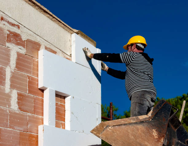 Best Cellulose Insulation in Blackwater, AZ