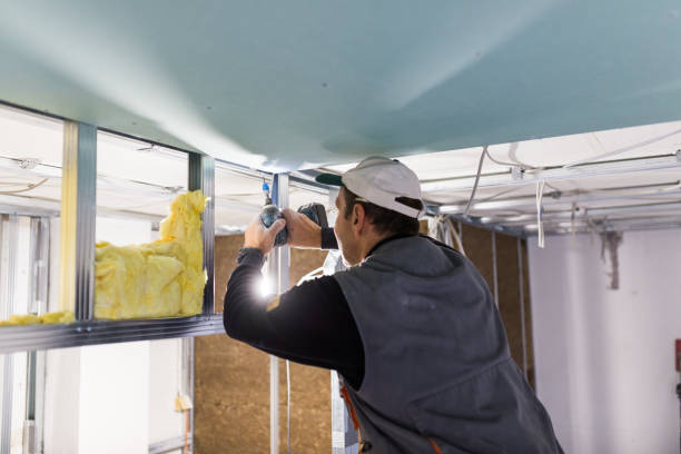 Best Residential Insulation in Blackwater, AZ