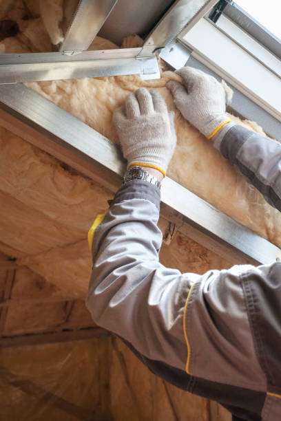 Types of Insulation We Offer in Blackwater, AZ