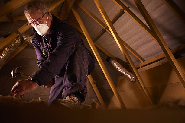 Best Fiberglass Insulation in Blackwater, AZ